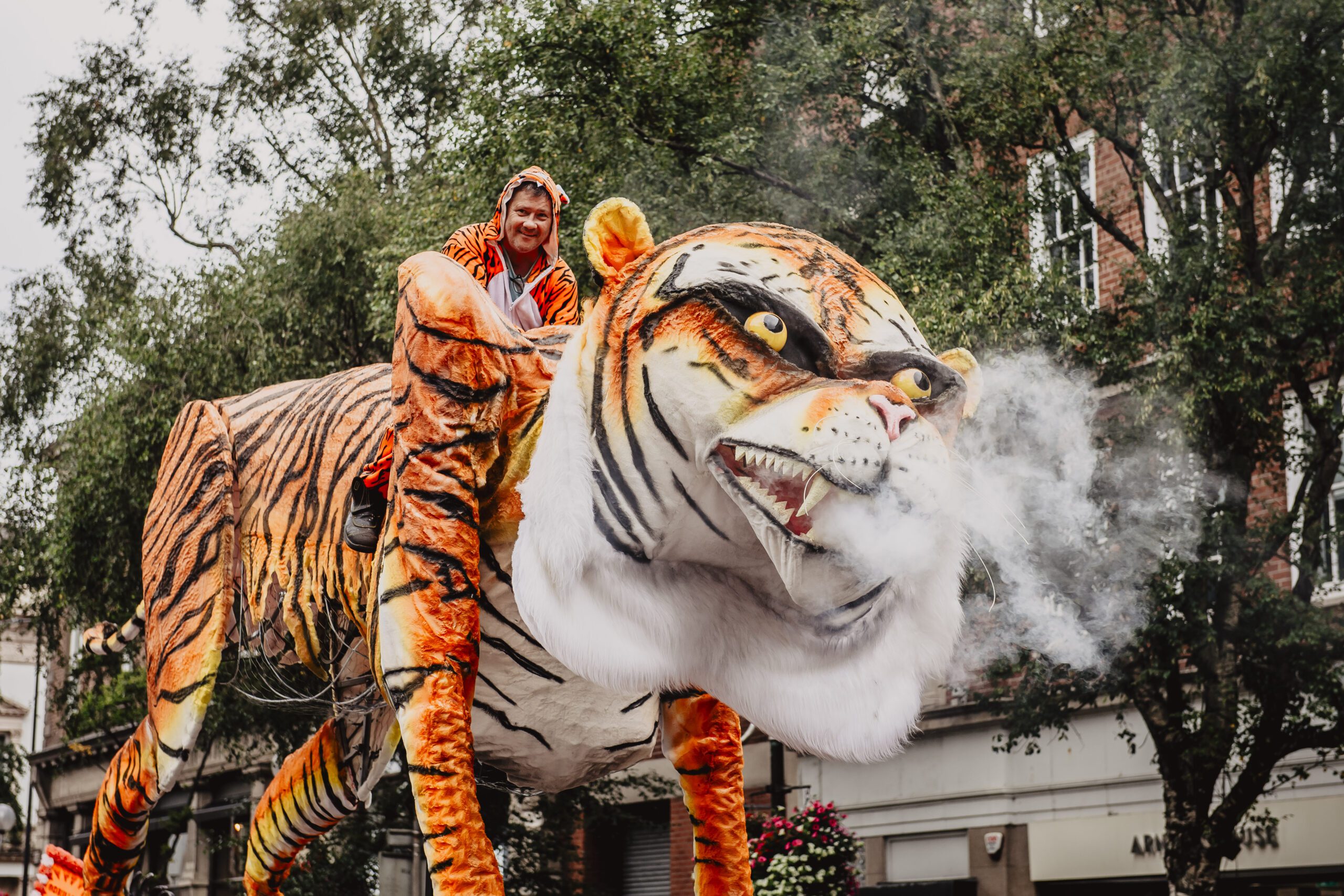 Mela Carnival