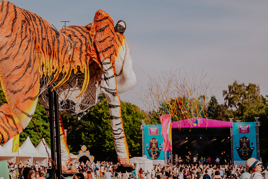 Festival Snaps