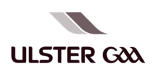 Belfast Mela Sponsor Logo