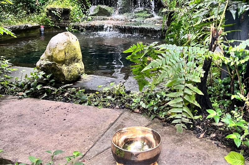 The Nauroso Sensory Garden